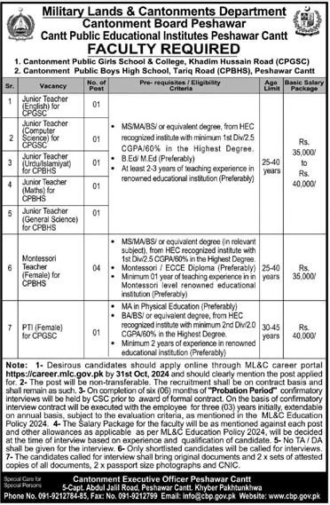 Cantt Public Educational Institution Jobs 2024 Advertisement