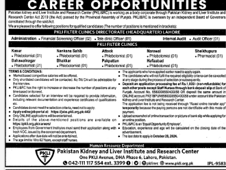 PKLI Jobs 2024 Advertisement