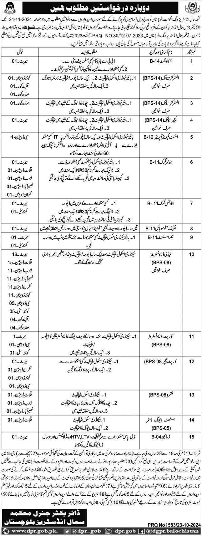 Small Industries Wing Balochistan Jobs 2024 Advertisement