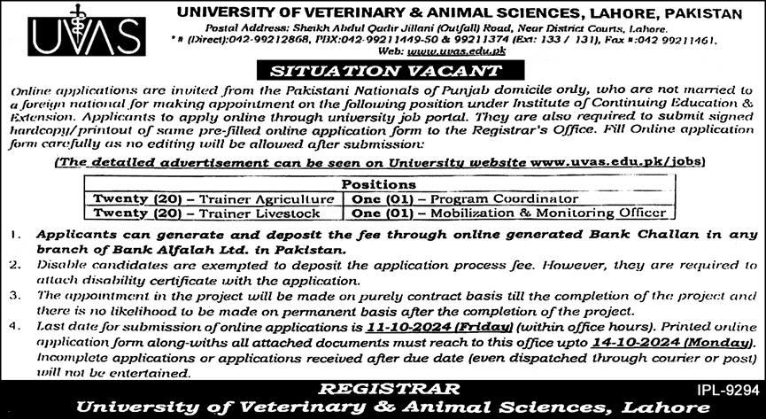 University of Veterinary and Animal Sciences Jobs 2024 Advertisement