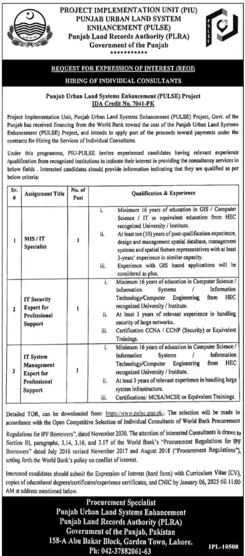 Allied Hospital Faisalabad Jobs 2025 Advertisement