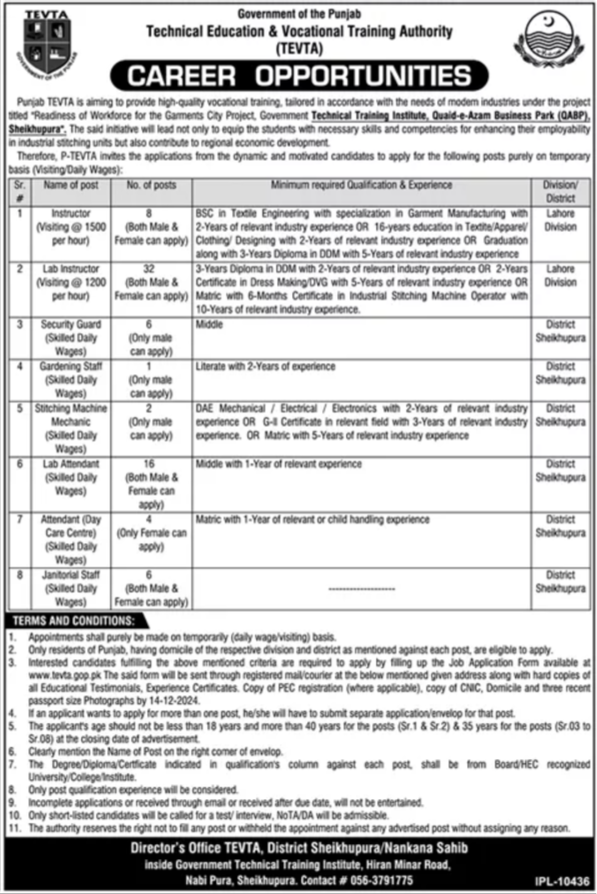 Government of Punjab Jobs 2024 Advertisement