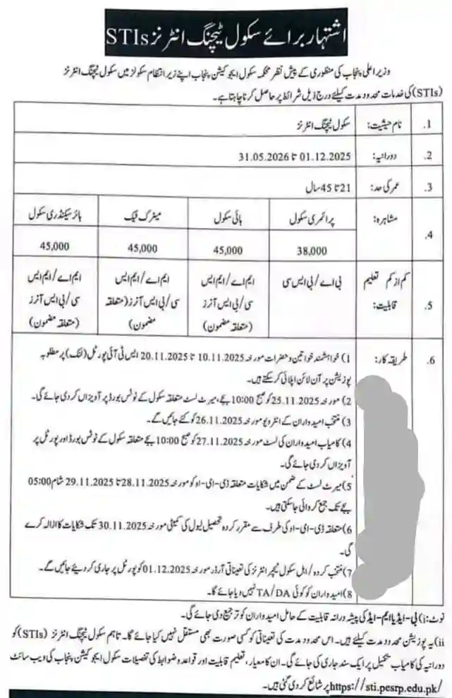 STI Schools Punjab Gov Pk Jobs 2025 Advertisement