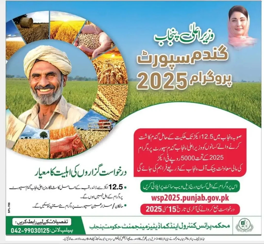 CM Punjab Wheat Support 2025 Advertisement