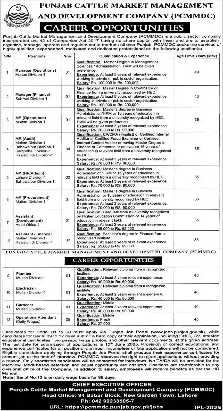 PCMMDC Lahore Jobs 2025 Today Advertisement