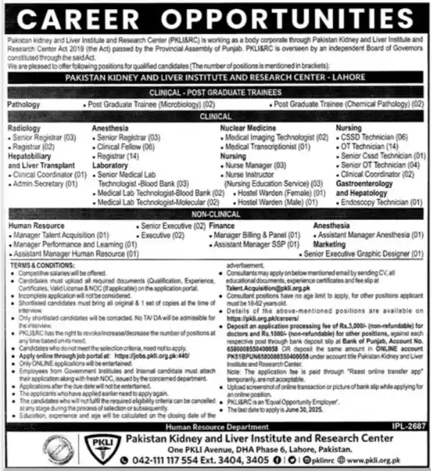 PKLI Jobs 2025 Latest Advertisement