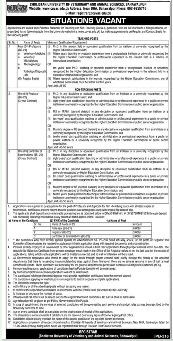 University Jobs 2026 in Southern Punjab